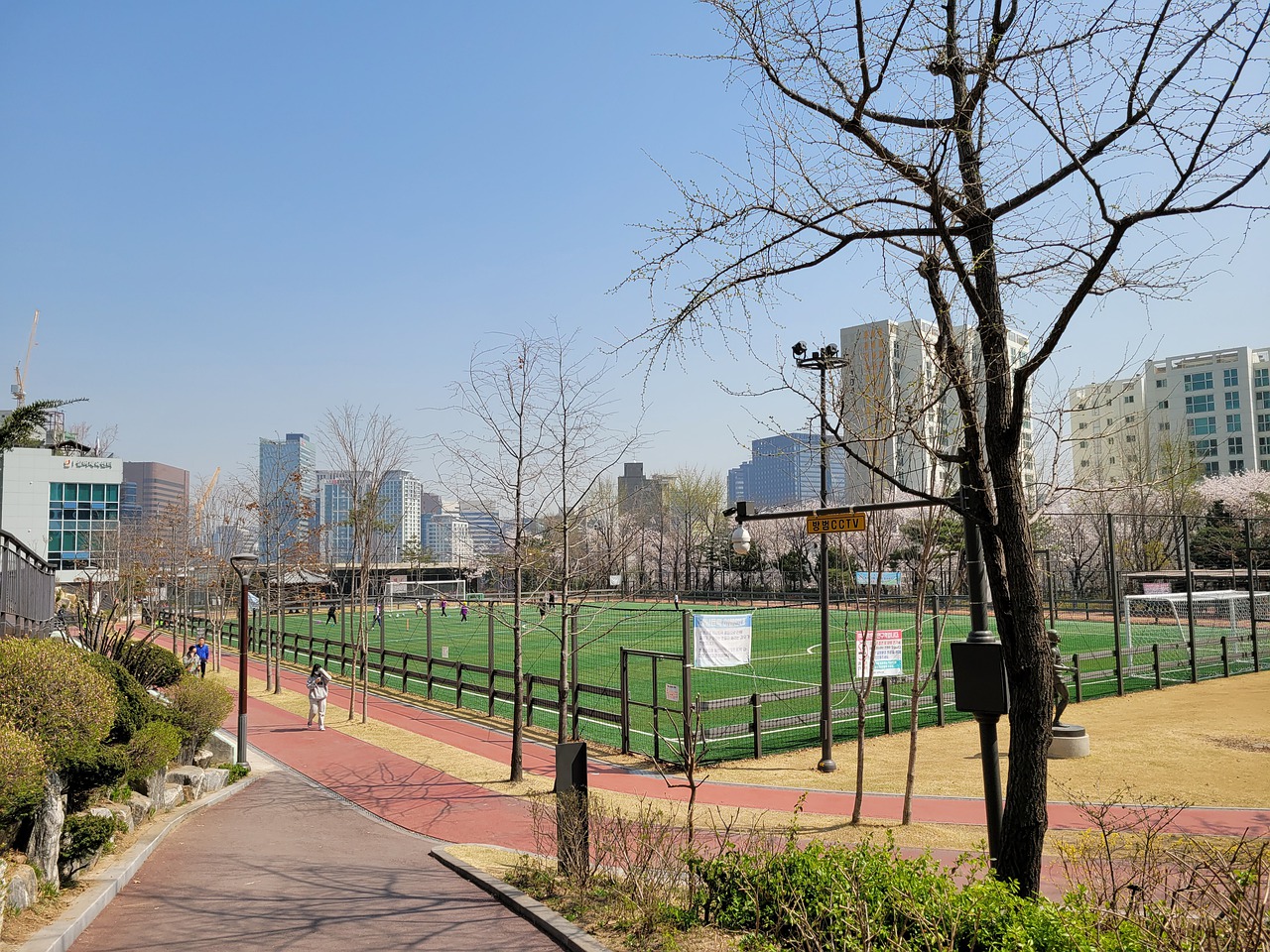 采摘技巧