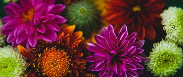 反映了选手 反映了选手