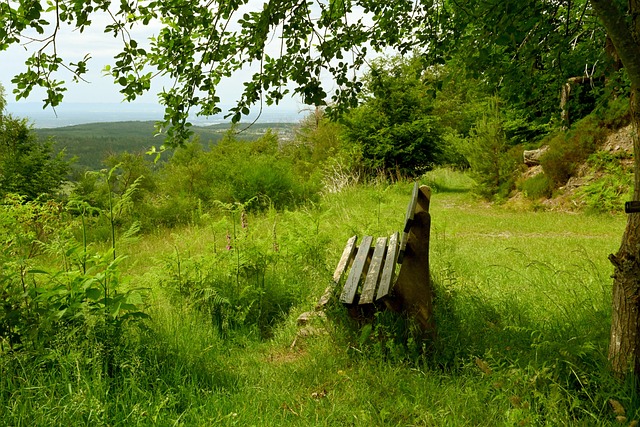 生涯增添了 生涯增添了