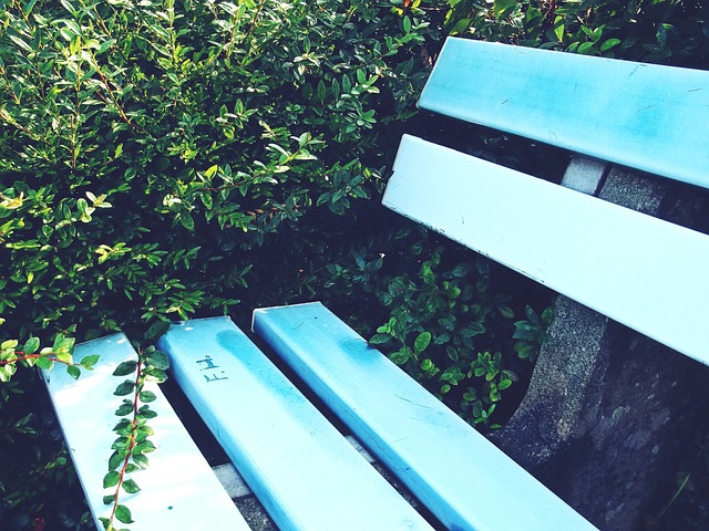 征召的时候 征召的时候