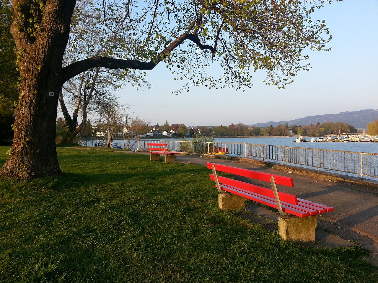 美国著名艺 美国著名艺