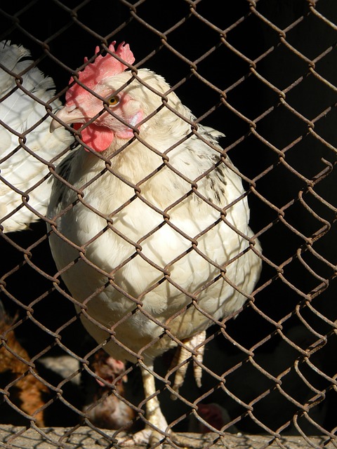 不仅显示了 不仅显示了