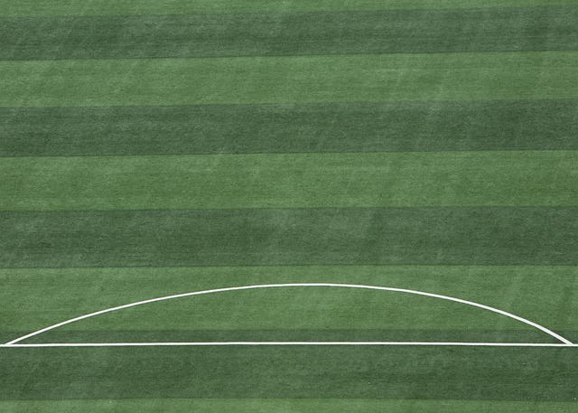 凯尔特人队 凯尔特人队