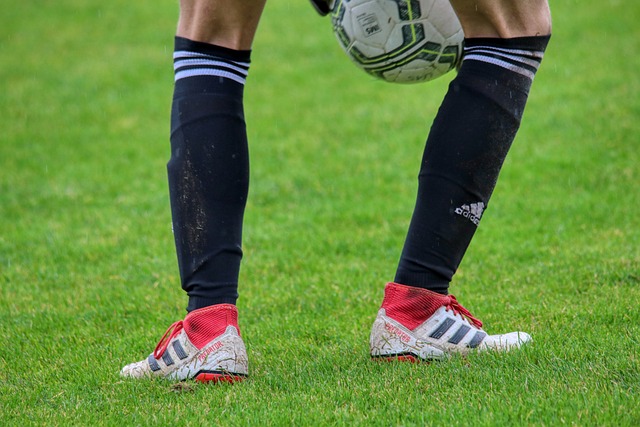 预计在新赛 预计在新赛