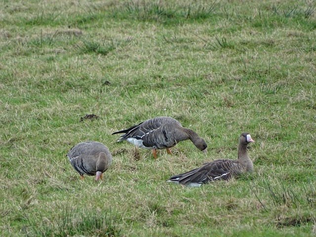 C罗的敬仰 C罗的敬仰