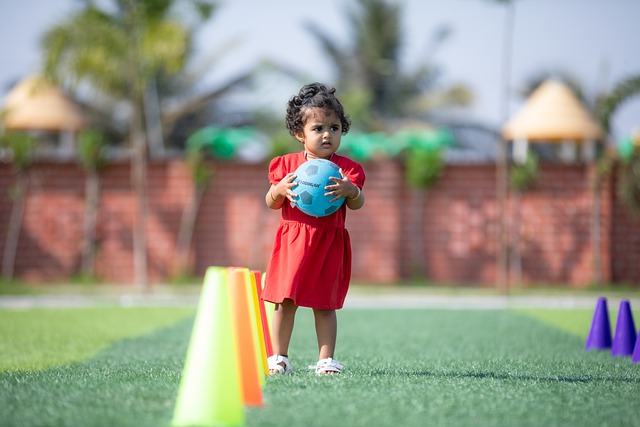 里尼岛及其 里尼岛及其