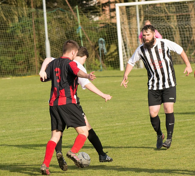 的惺惺相惜 的惺惺相惜