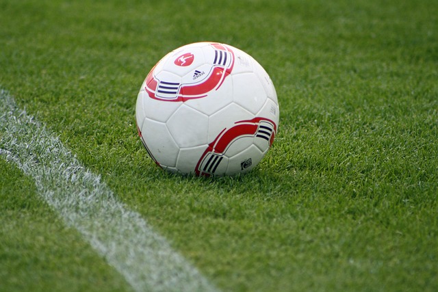 迅速崛起 迅速崛起