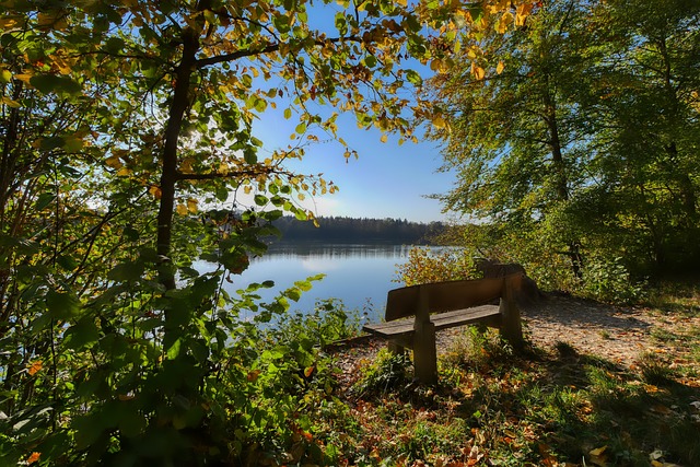 也为竞争激 也为竞争激